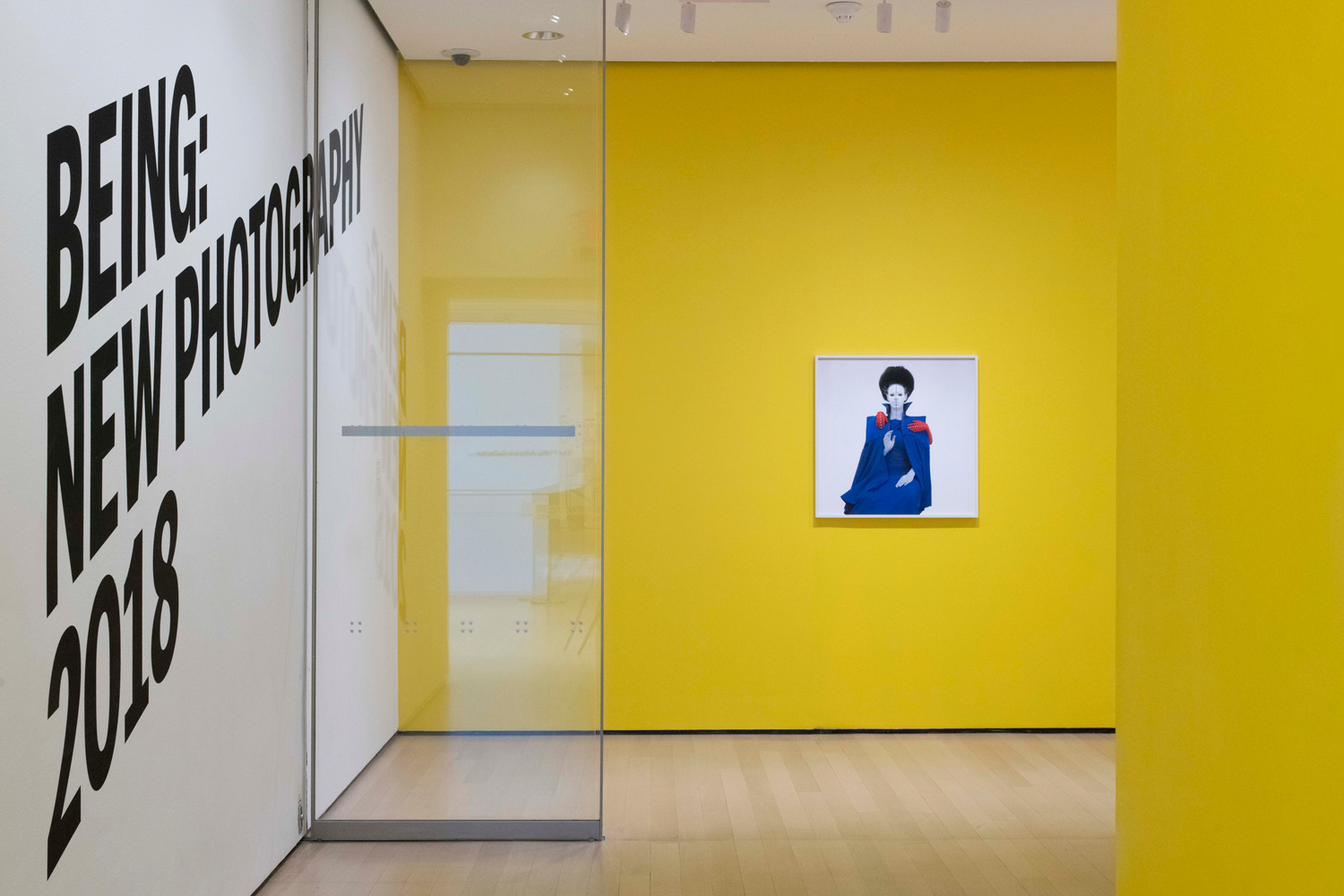 MoMA Being New Photography 2018 title wall